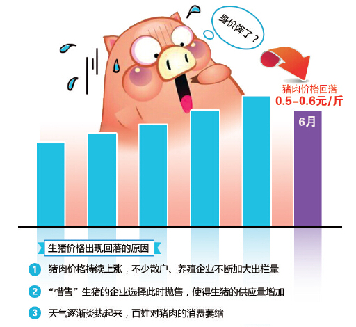 大連生豬價格最新動態(tài)，分析與展望