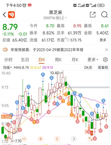 黑芝麻重組最新動態(tài)，深度解析與消息更新