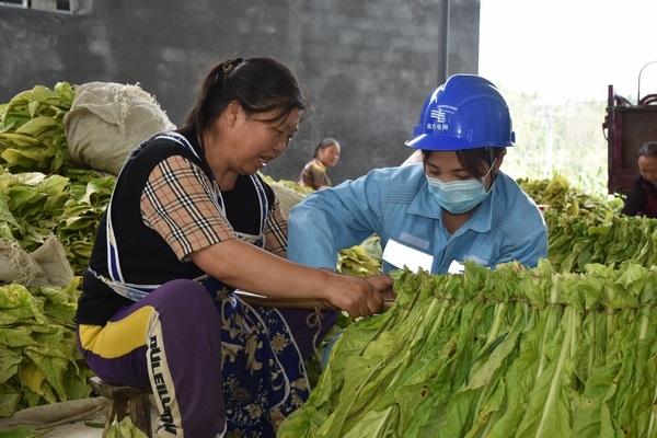 大方規(guī)劃新聞最新動態(tài)，引領(lǐng)未來城市發(fā)展的戰(zhàn)略規(guī)劃藍(lán)圖