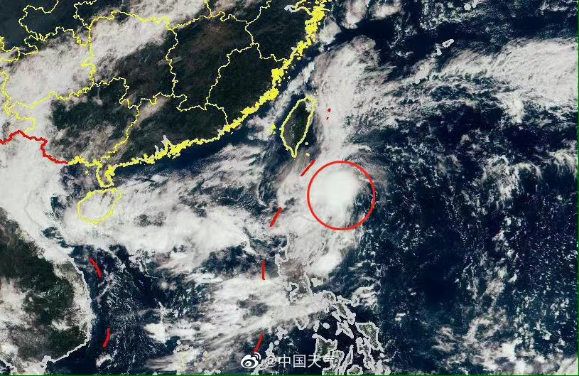 臺風尼格最新動態(tài)，全面解析影響及應對措施