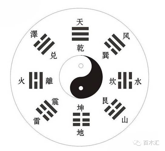 最準(zhǔn)一碼一肖100%鳳凰網(wǎng)｜統(tǒng)計(jì)解答解釋落實(shí)