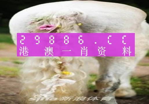 今晚必中一肖一碼四不像｜適用計(jì)劃解析方案