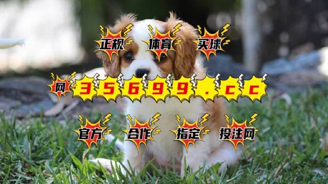 4949澳門(mén)特馬今晚開(kāi)獎(jiǎng),最佳精選解釋落實(shí)_zShop40.945