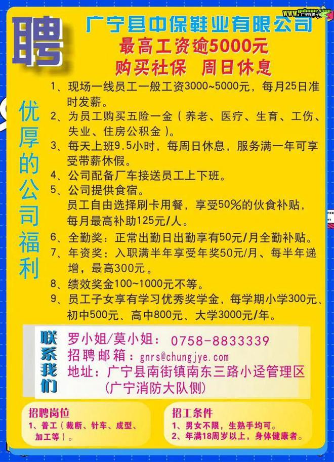 廣寧快遞招聘最新動(dòng)態(tài)，職業(yè)發(fā)展的機(jī)遇與挑戰(zhàn)