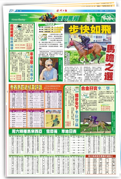 2024澳門特馬今晚開獎53期,動態(tài)詞語解釋落實_SE版47.653