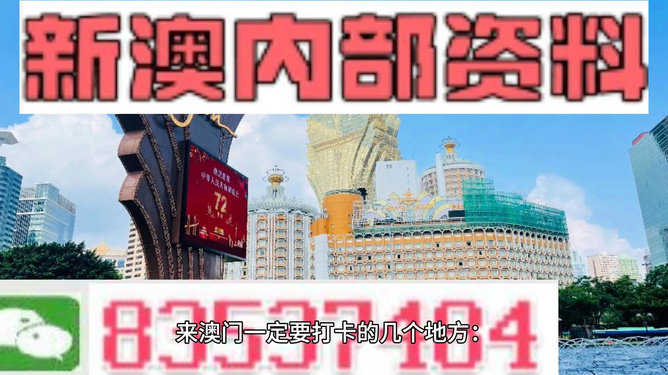 新澳門2024今晚開什么,決策資料解釋落實_微型版76.114