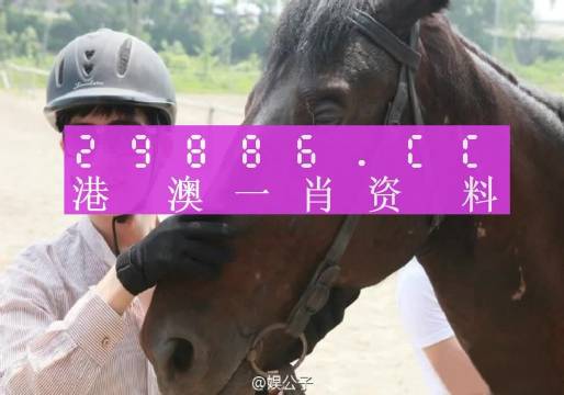 澳門今晚必中一肖一碼準(zhǔn)確9995,國產(chǎn)化作答解釋落實(shí)_Deluxe96.743