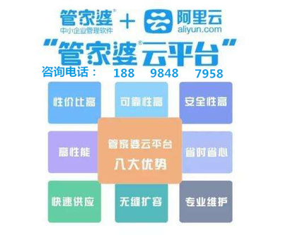 管家婆資料精準(zhǔn)一句真言,高效說明解析_娛樂版91.782