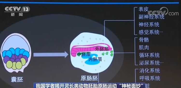 澳門一肖一碼一一特一中廠i,深入數(shù)據(jù)執(zhí)行應(yīng)用_運(yùn)動版70.980