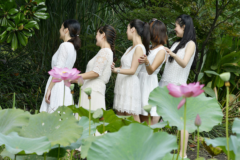 錦繡田園五朵金花最新章節(jié)探秘，田園生活的精彩瞬間