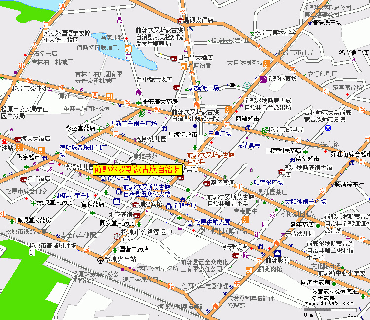 前郭爾羅斯蒙古族自治縣自然資源和規(guī)劃局最新招聘信息解析與招聘細(xì)節(jié)分析