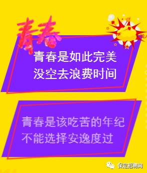 保定最新招工信息概覽，招聘概覽與職位詳解