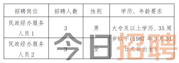 拉薩市最新招聘動態(tài)，影響與展望