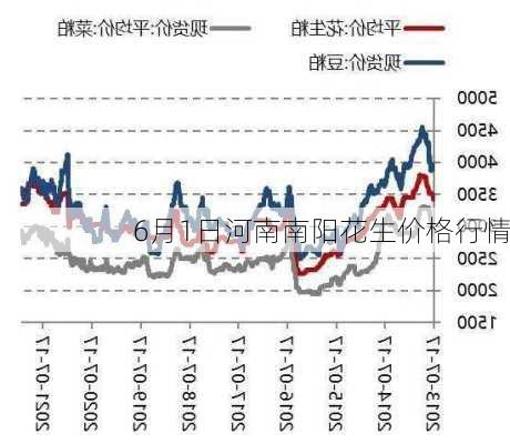 花生米最新報(bào)價(jià)與市場(chǎng)分析概覽